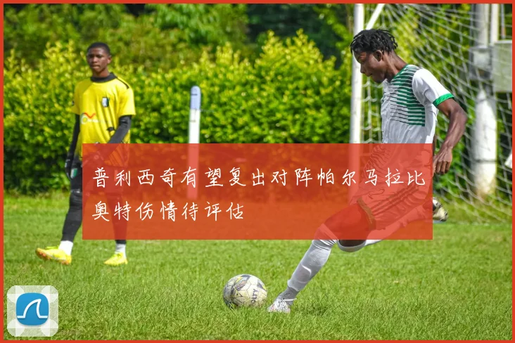 普利西奇有望复出对阵帕尔马拉比奥特伤情待评估