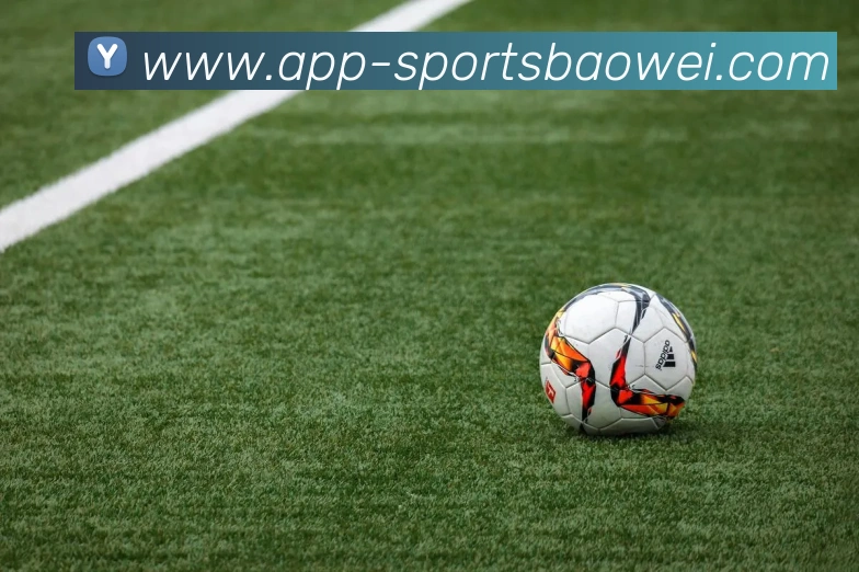 宝威体育平台生态图